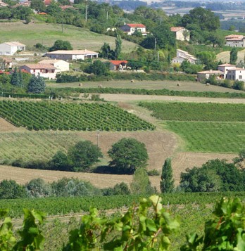 Gaillac_4 Gaillac_4