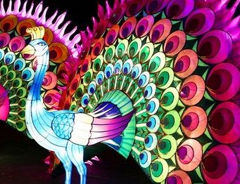 festival_lanternes_gaillac-vig