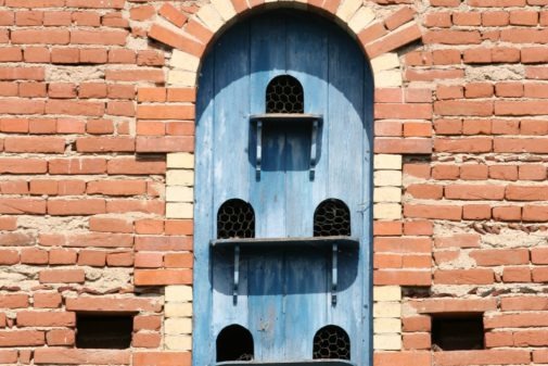 Pigeonnier2 Pigeonnier2