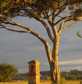 Domaine du Buc – Tarn – Parc5 Domaine du Buc – Tarn – Parc5