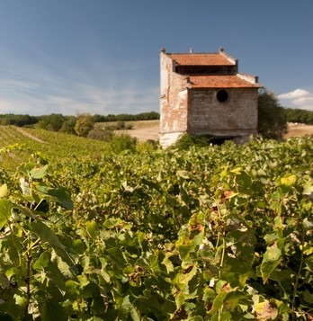 paysage-gaillac