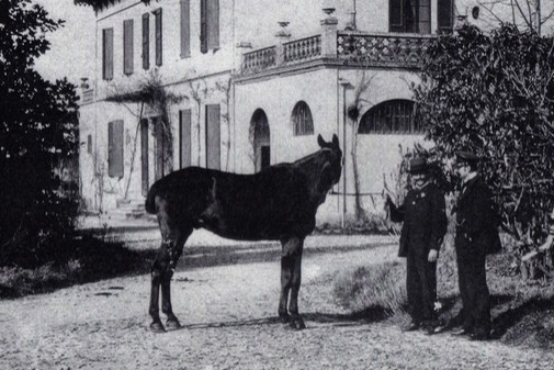 Histoire-Domaine-du-Buc-Tarn_505x337_acf_cropped-1 Histoire-Domaine-du-Buc-Tarn_505x337_acf_cropped-1