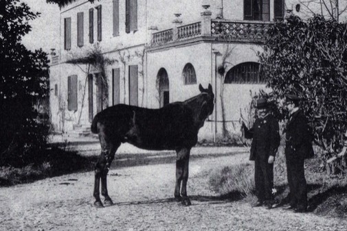 Histoire-Domaine-du-Buc-Tarn_505x337_acf_cropped-1