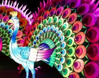festival_lanternes_gaillac-vig