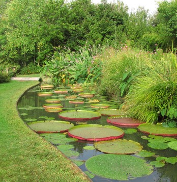 verdure-jardin-martels-4