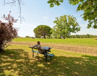 vacances à la campagne Tarn fleurs