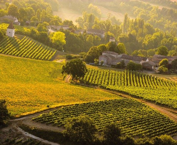 -Vue-du-ciel-Vignoble_Andillac @Viet