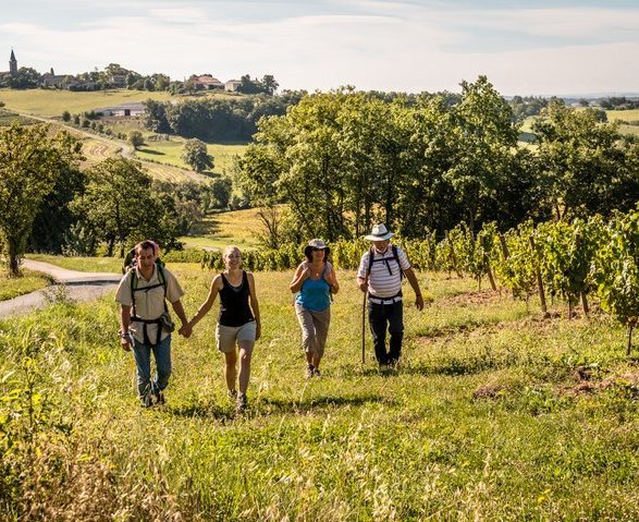 randonnée dans le vignoble de gaillac, rando image CDT Tarn