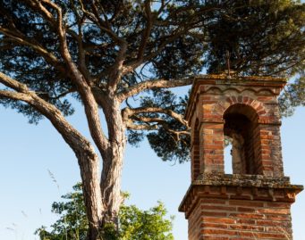 pin parasol chateau du buc oliviege