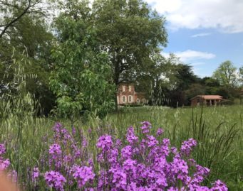 fleurs des champs chambres d hotes albi