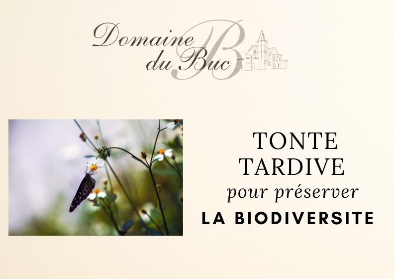 tonte tardive biodiversité