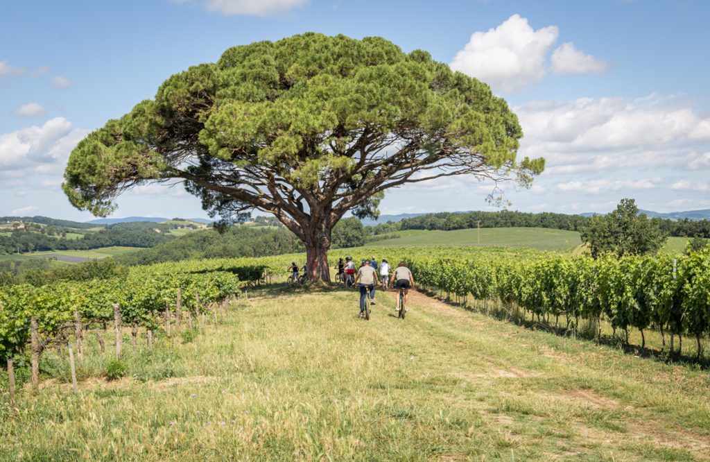 velo electrique gaillac , photo pascale walter