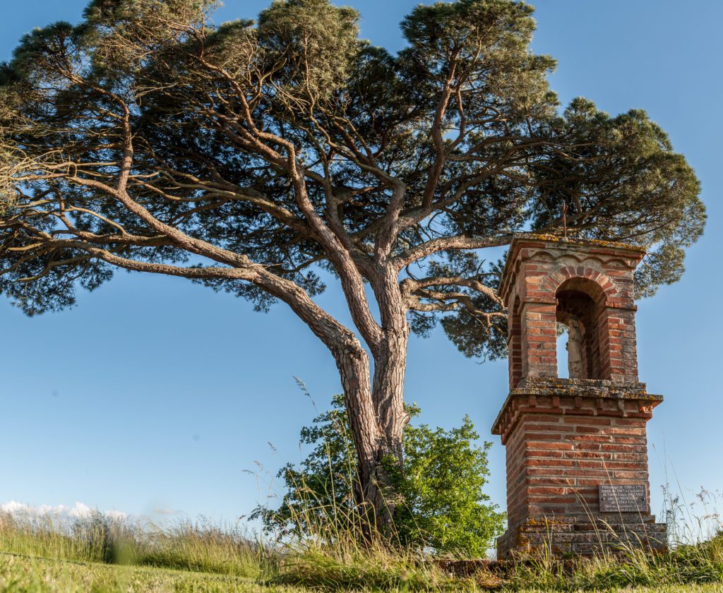 label destination d'excellence pour le Doaine du Buc , chambres d hotes de charme près d albi dans le tarn occitanie