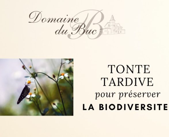 TONTE-TARDIVE-biodiversite Domaine du Buc